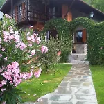 Chalet Di Montagna