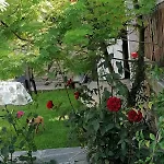 Di Montagna * San Giuliano (Turin)