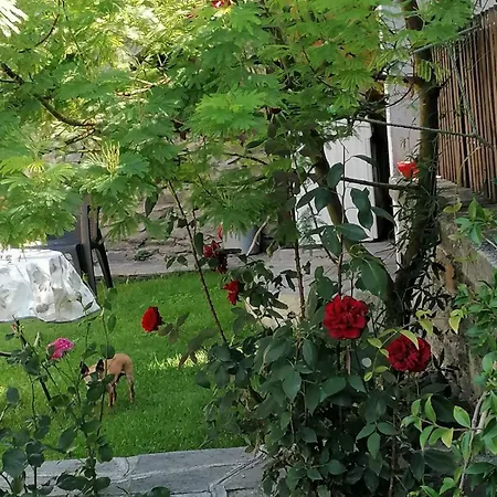 Di Montagna シャレー